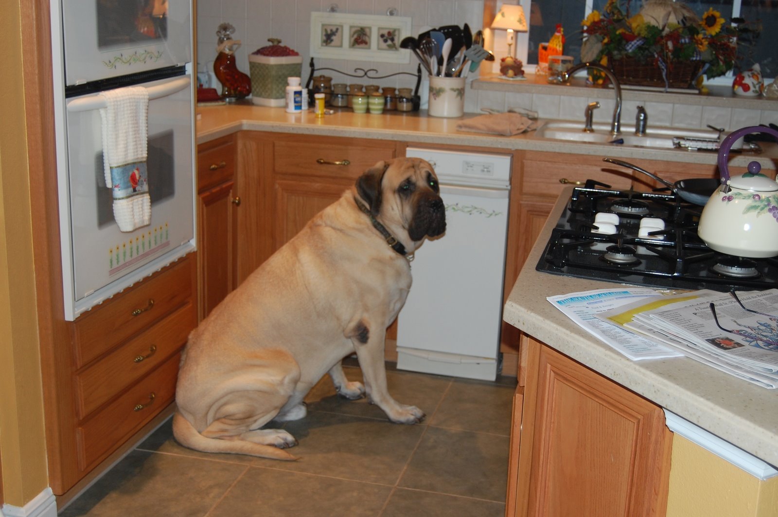 [charlie+bd+072.jpg]