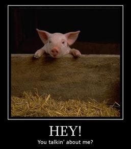 [sm539c1e52744bd74665bf565f90aeaf24.jpg]