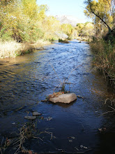 Aravaipa Canyon