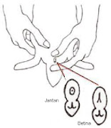 Edisi Pemeriksan Jantina