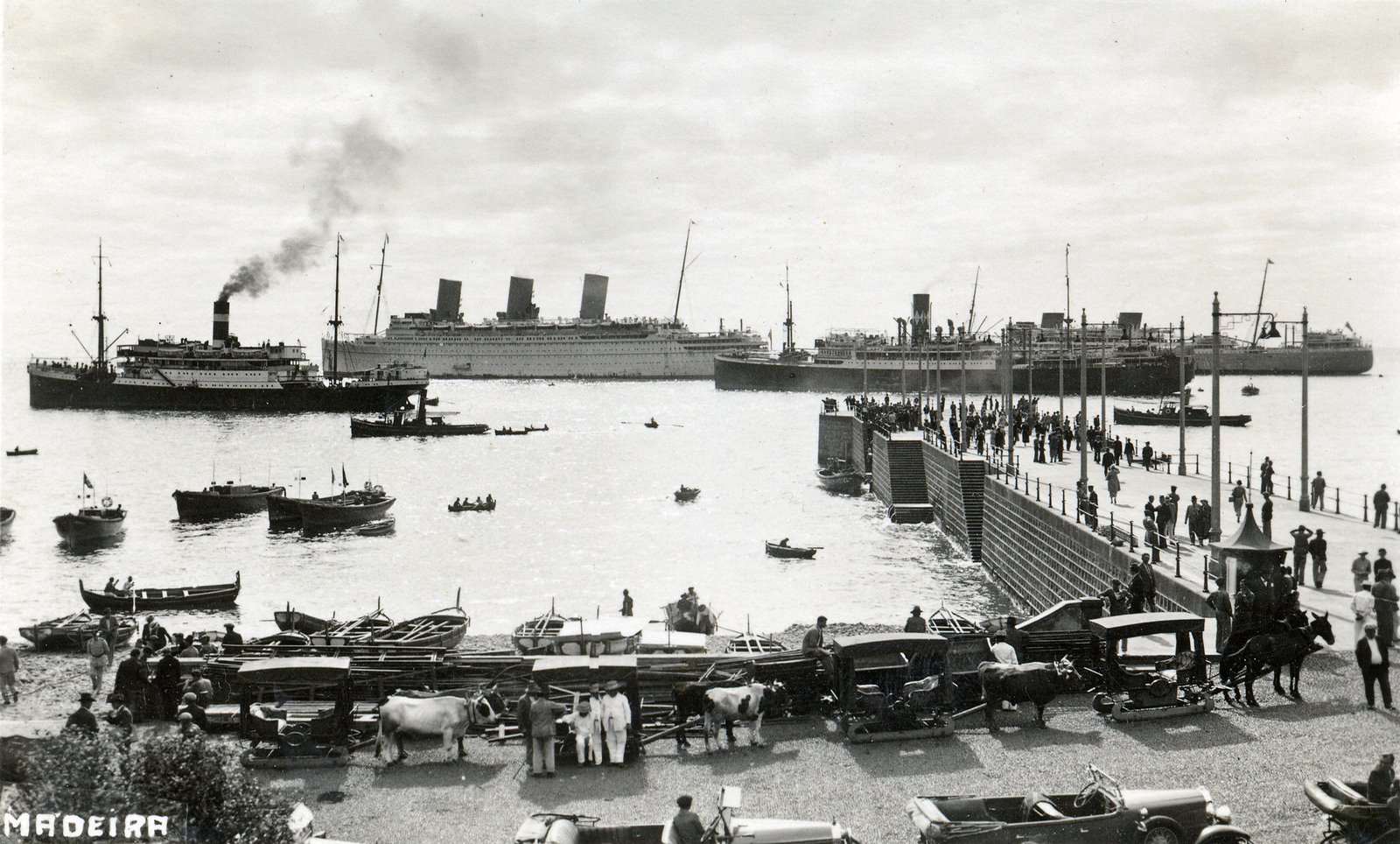 [madeira_v13_31.jpg]