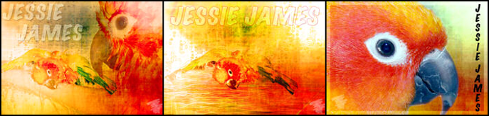 JESSIE THE FID