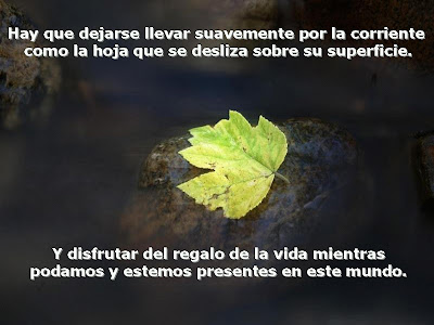 MENSAJES POSITIVOS FEBRERO 2012 Reflexiones+de+la+vida