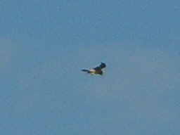 [S5000215.JPG]
