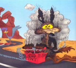 [coyote_acme.jpg]