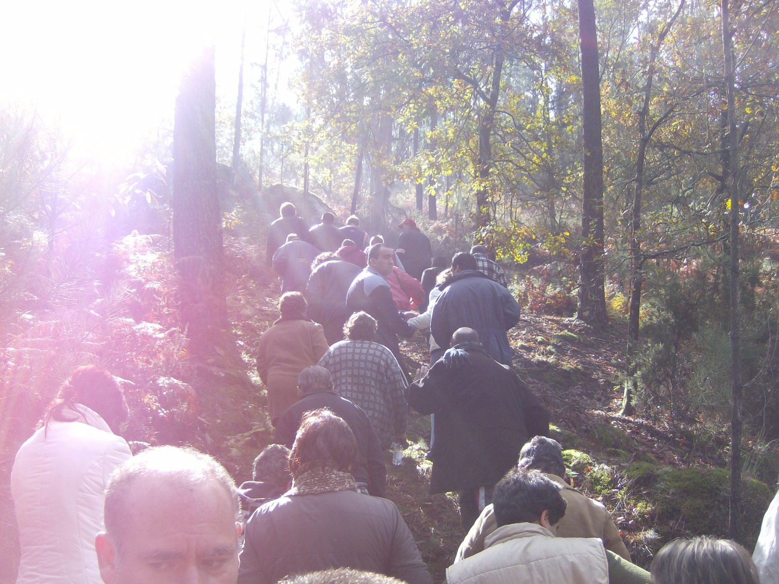 [aprender+a+ver.jpg]