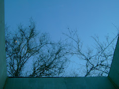 Through the Kitchen Skylight.