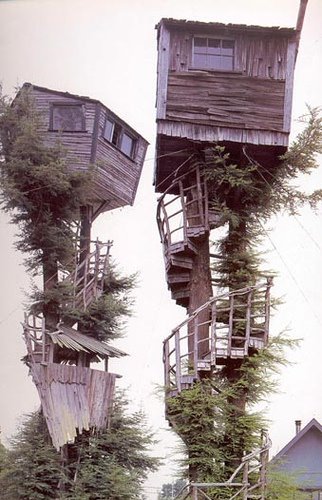 [bad-tree-house.jpg]