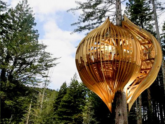 [treehouse546.jpg]