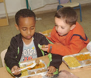 USA School LunchMeatballs and Rice. Country: USA (school lunches)