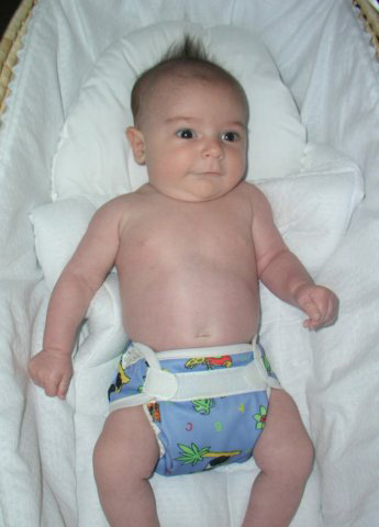[coop_junglediaper.jpg]