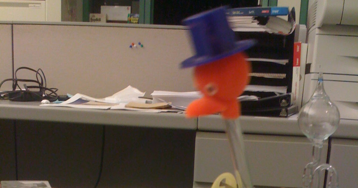 Overlooked Physics The Mysterious Drinking (Dipping) Bird