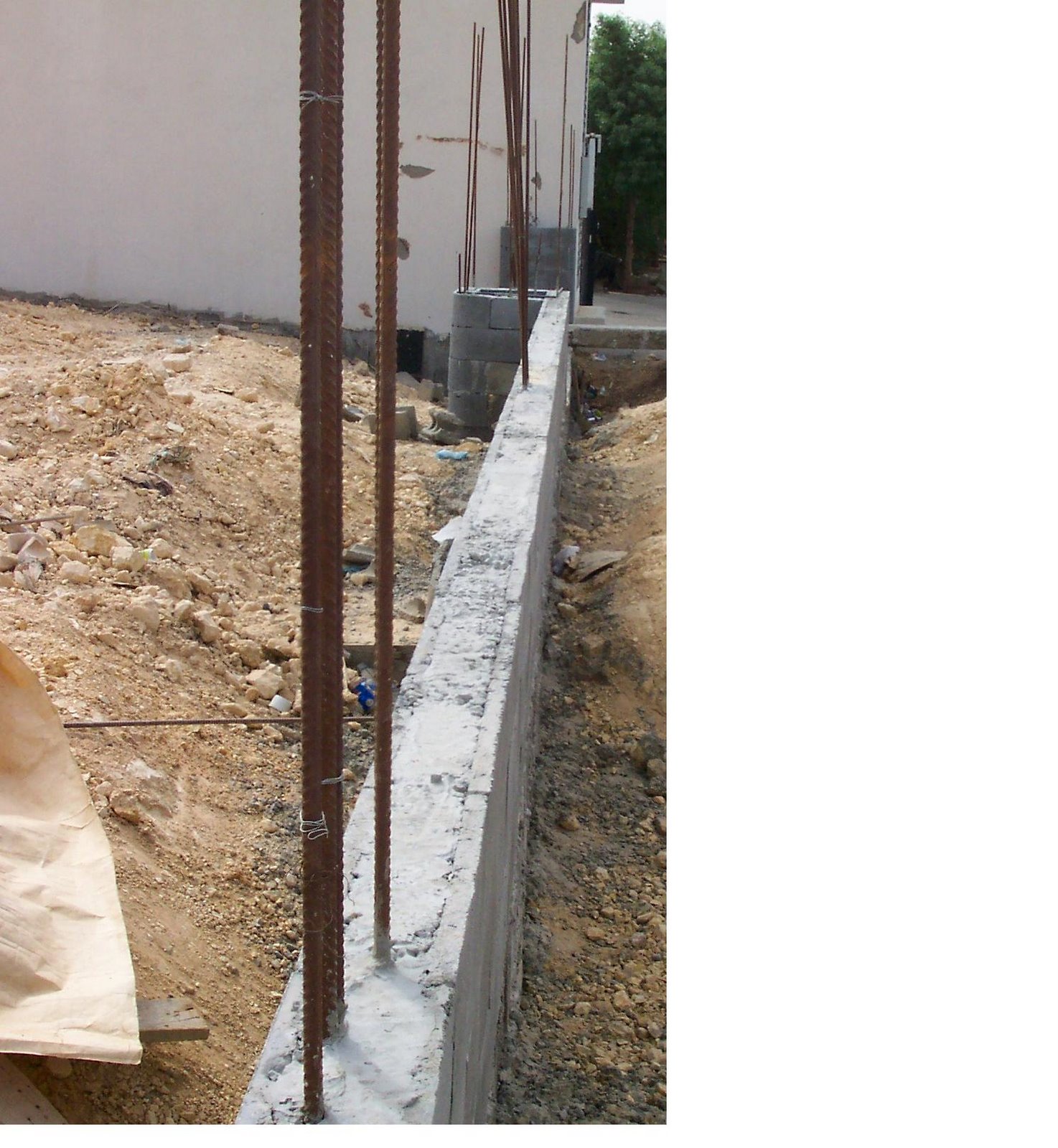 [محددة100_0047.JPG]