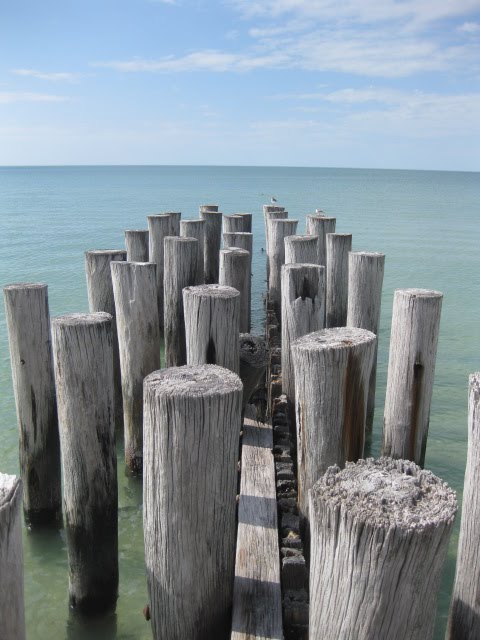 [IMG_4530.JPG]