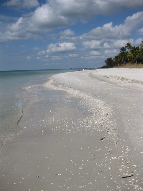 [IMG_4548.JPG]