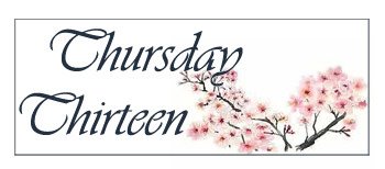 [thursday+13+a.jpg]