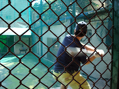 at the batting cage