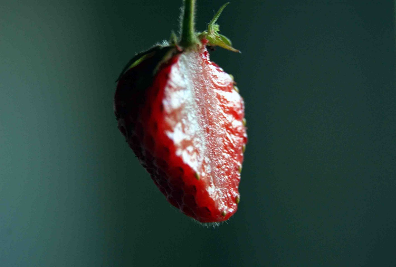 [strawberriesinair.jpg]