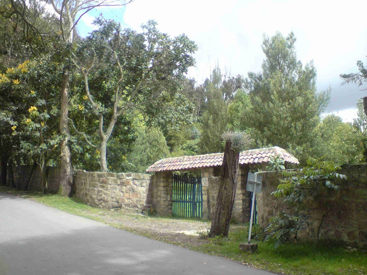 La FLORESTA DE LA SABANA