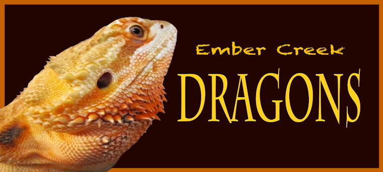 EMBERCREEK Dragons