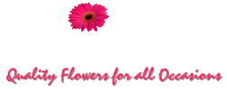 Kirwan Florists