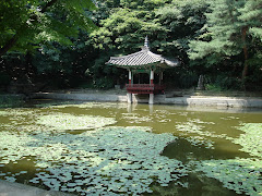 The Secret Garden in Seoul