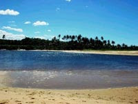 Praia do Taípe- Santuário Ecológico