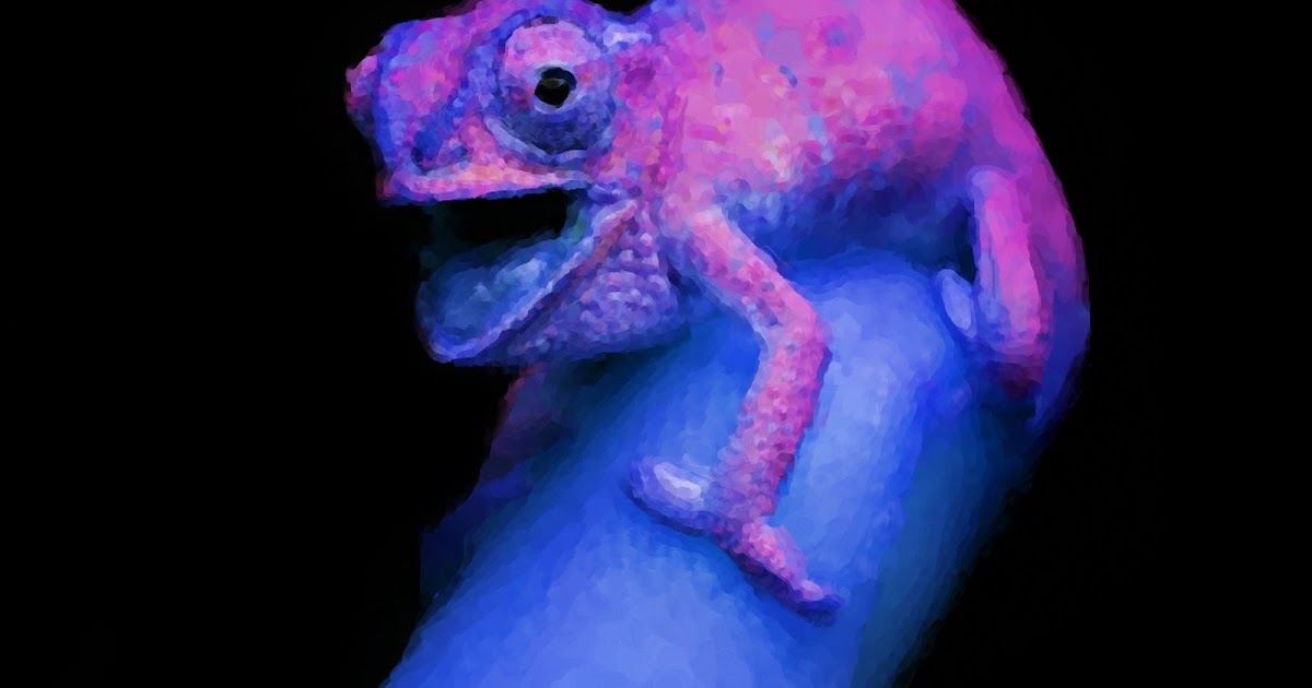 Gnolaum Art Black Light Chameleon gnolaum art blogger