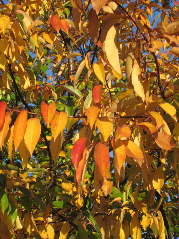 Ein Weites Feld 10 01 2010 11 01 2010