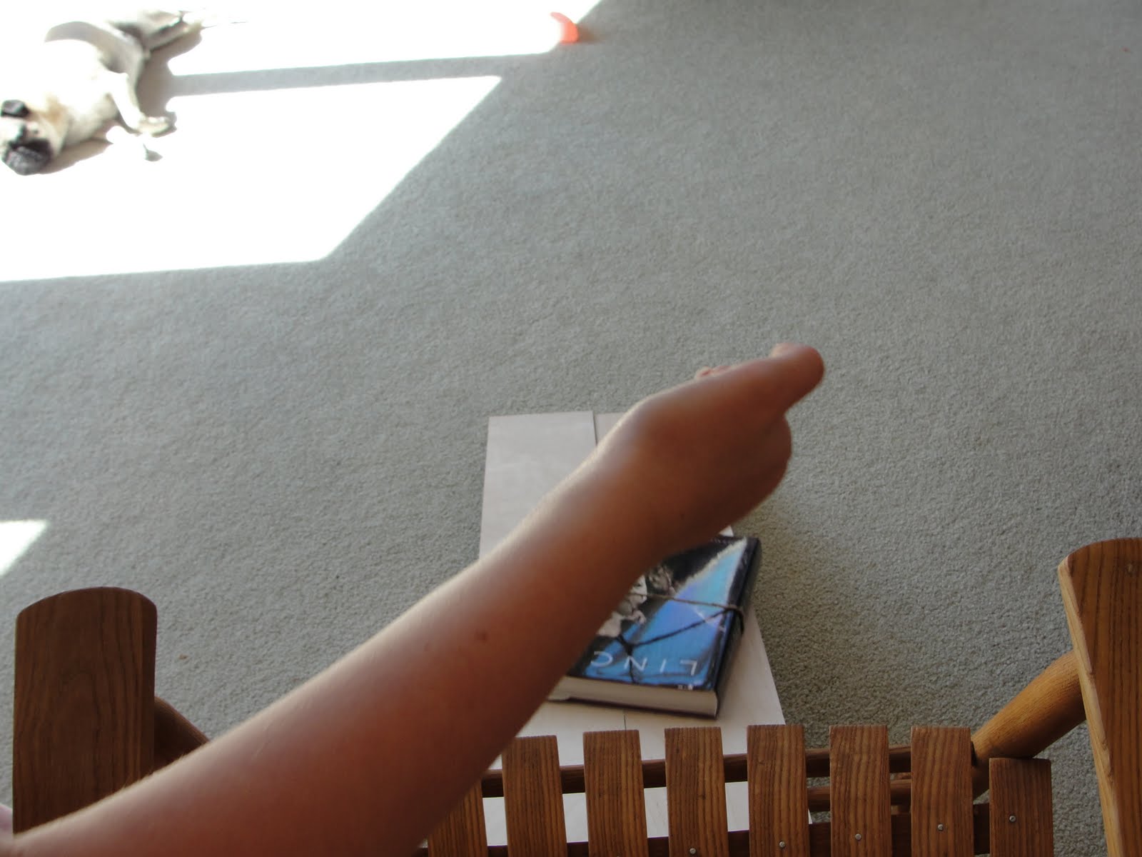 karmamatopoeia Simple Machines Ramps