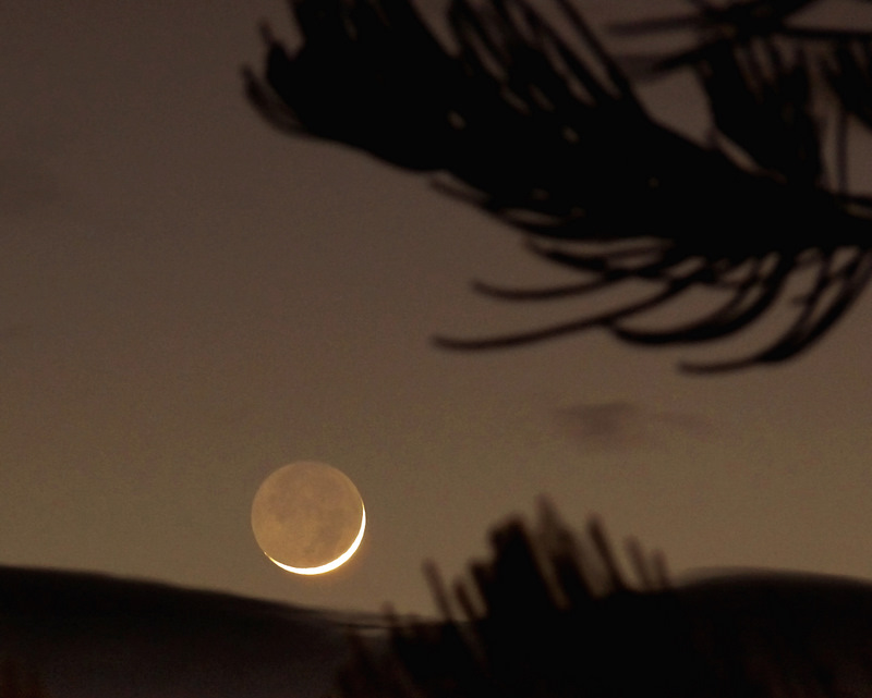 A Pacific View Waxing or waning?