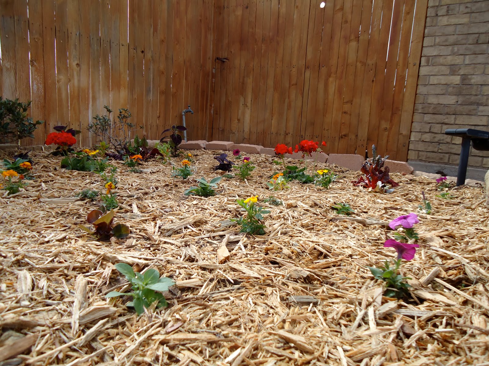 CC DESIGNS: Front Yard Flowerbed