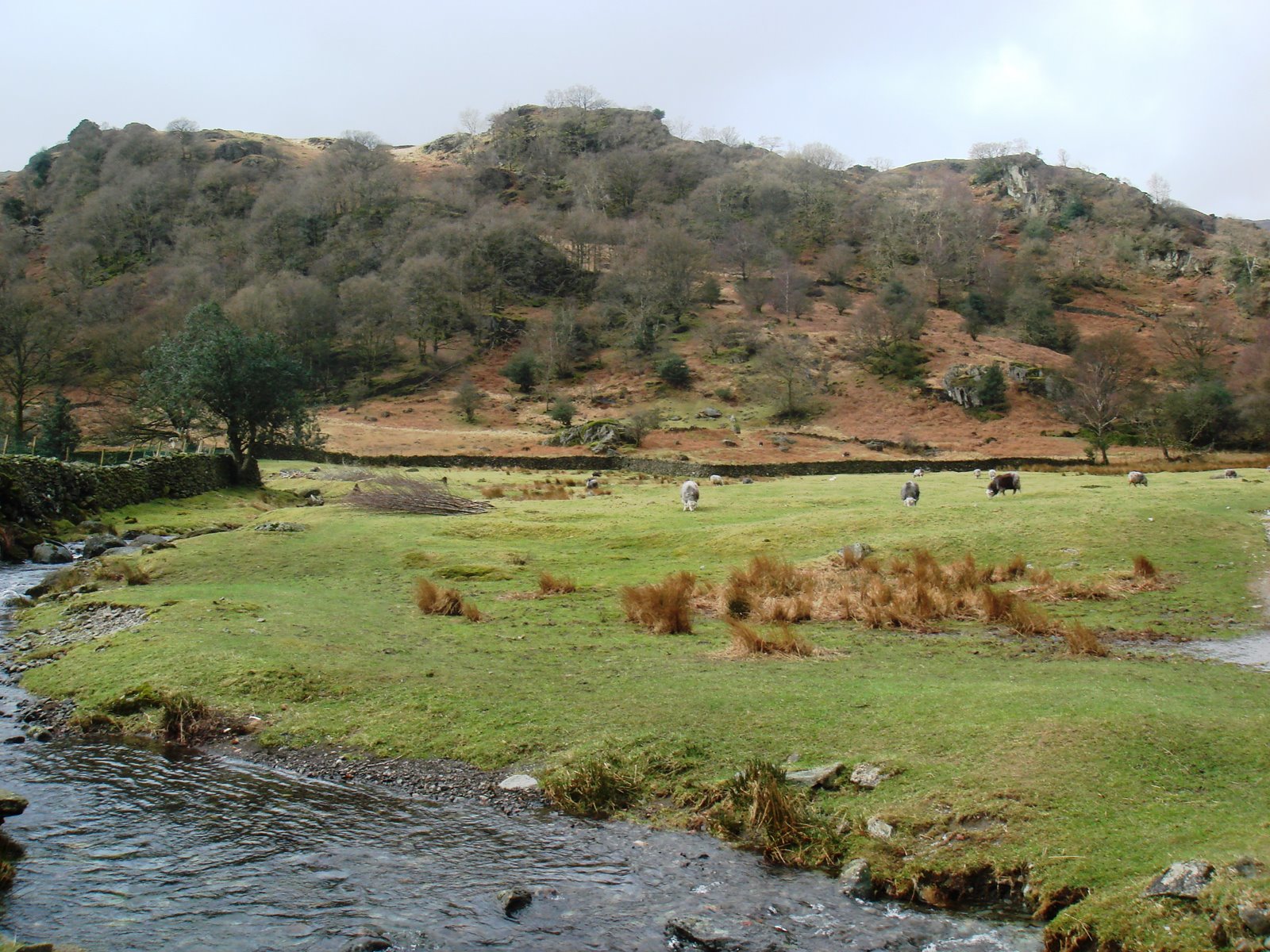 [DSC01933.JPG]