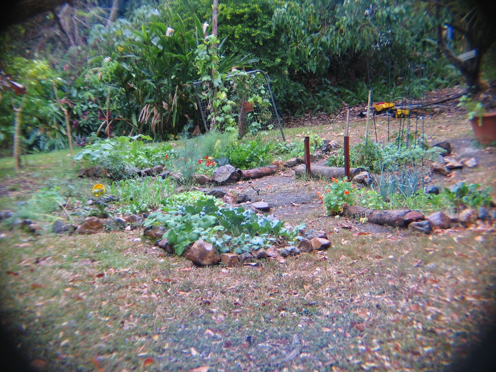 [IMG_5562.JPG]