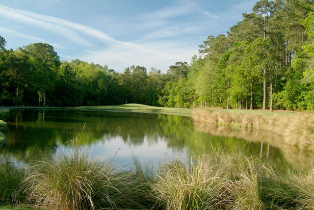 Blackmoor Golf Myrtle Beach Review Blackmoor Golf Myrtle Beach Review