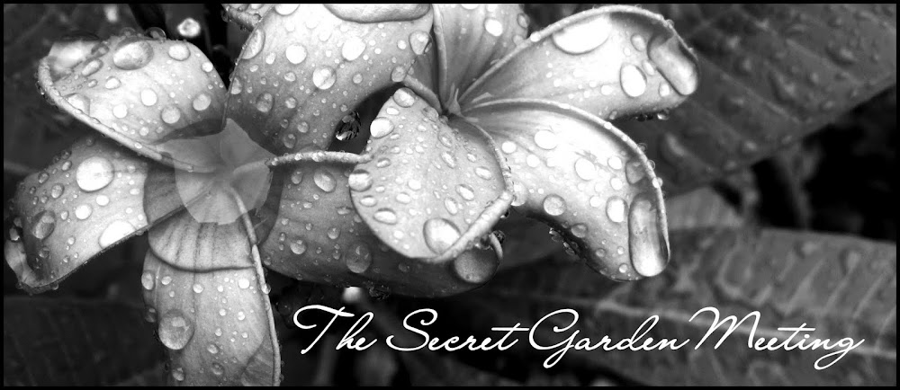 The Secret Garden Meeting