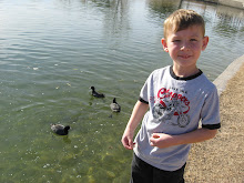 Feeding the ducks