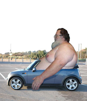 Fat Objects