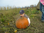 Big Pumpkin