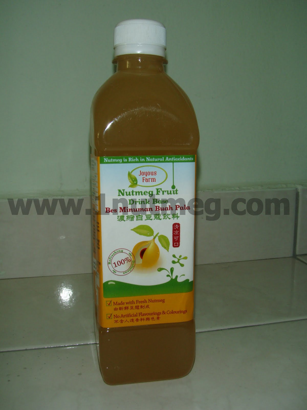 NUTMEG WORLD WHAT IS NUTMEG PENANG, MALAYSIA