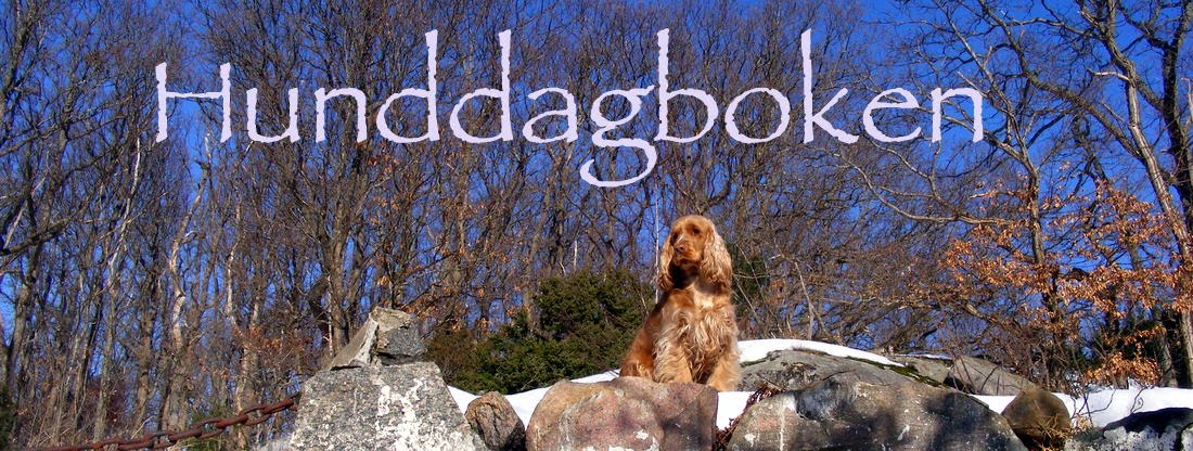 Hund-dagboken