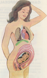 Crecimiento fetal...