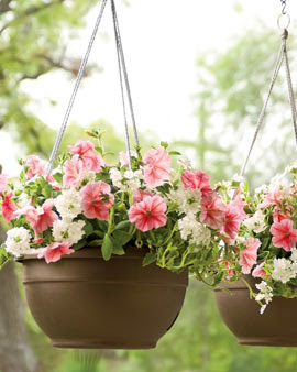 Self-Watering Hanging Basket Self-Watering Hanging Basket