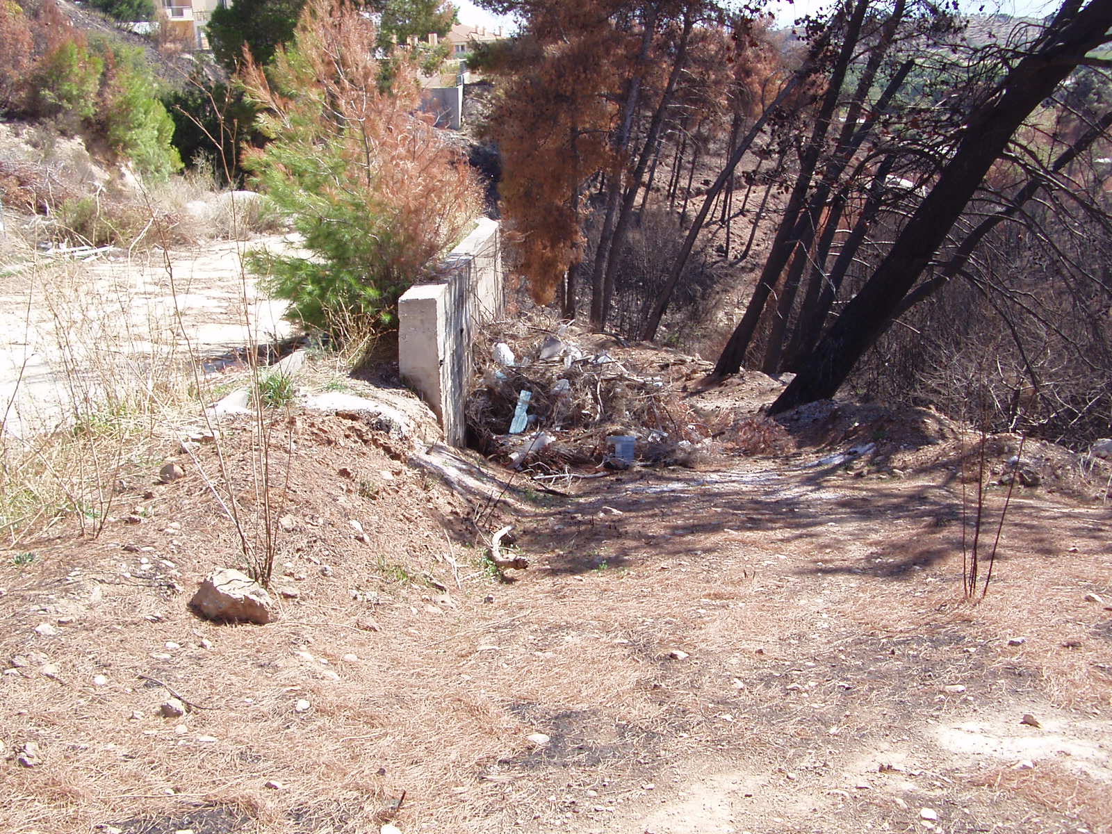 [Eptanison090901a.JPG]