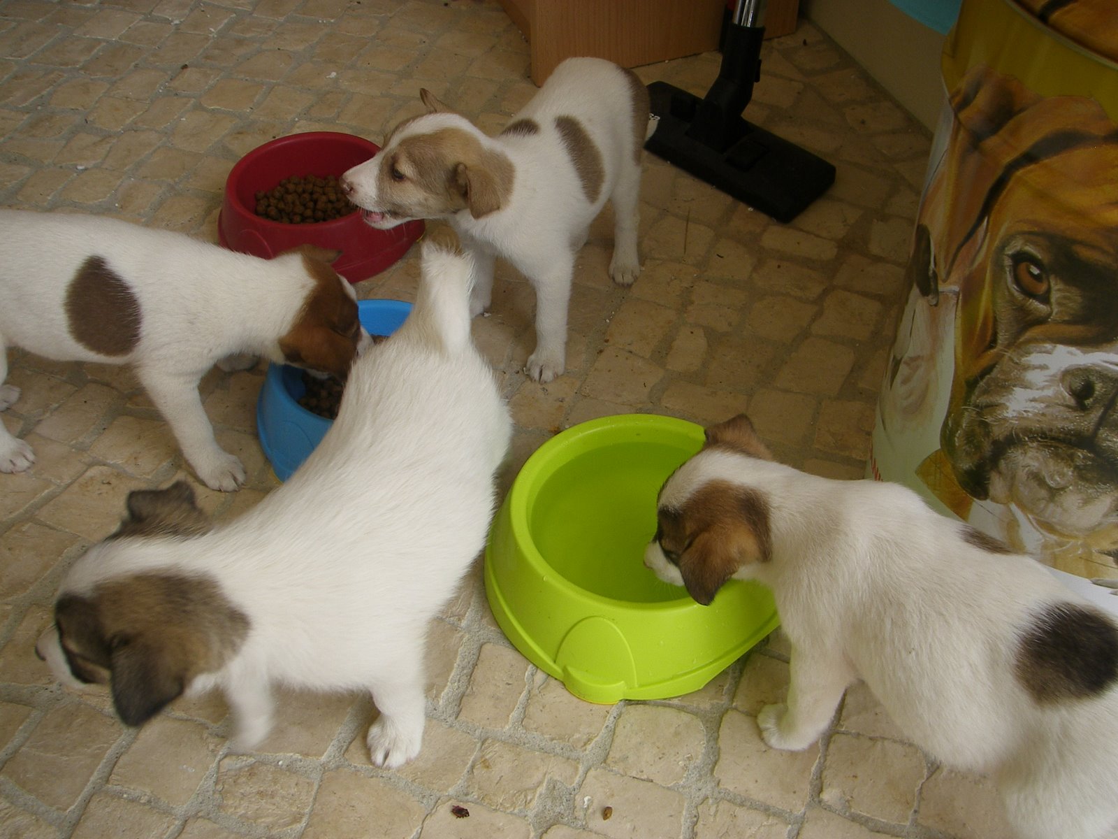 [P9240531.JPG]