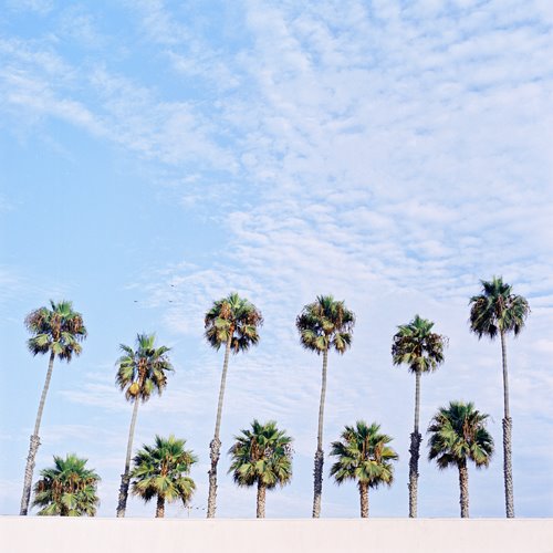 [0001415-R3-E265.jpg]