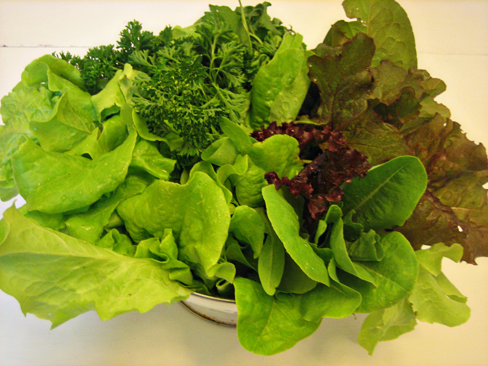 Garnish, Deanna, Garnish! Lettuce Harvest