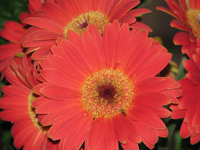 Beyond The Sidewalks: March 2009