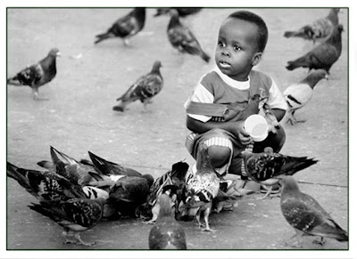 z yasamdan gri tonlar 041