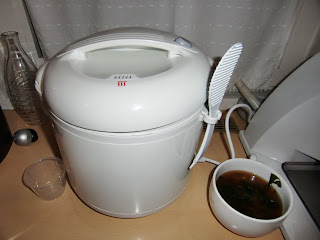 rice cooker (onemorehandbag)